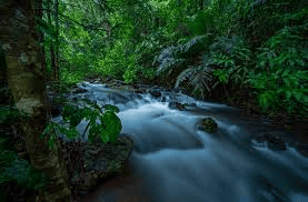 Environment and Ecology: September 2024 UPSC Current Affairs | Environment for UPSC CSE