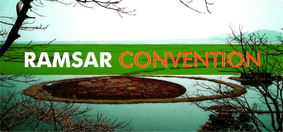 Environment and Ecology - 1 | Current Affairs & Hindu Analysis: Daily, Weekly & Monthly - UPSC