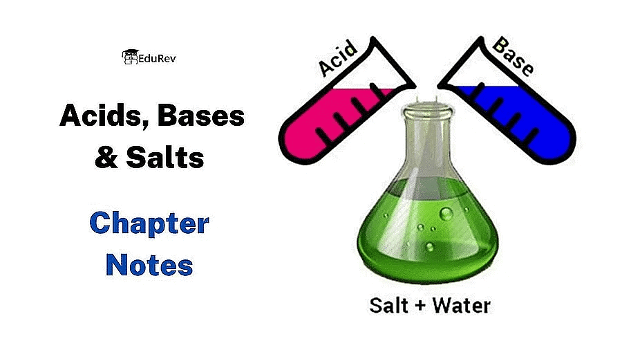 Acids, Bases & Salts | Famous Books for UPSC Exam (Summary & Tests)