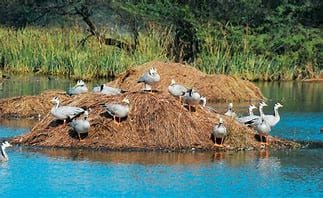Sultanpur National Park (Haryana)