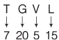 Analogy: Solved Examples | CSAT Preparation - UPSC
