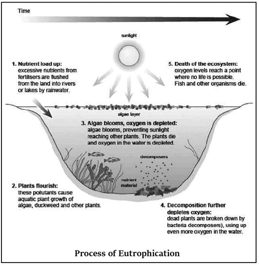 Eutrophication