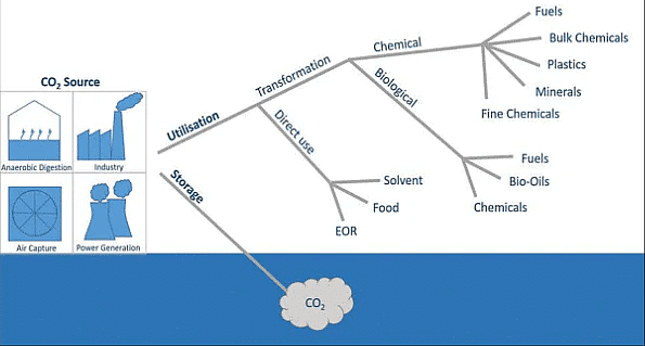Environment and Ecology (पर्यावरण और पारिस्थितिकी): February 2022 UPSC Current Affairs | पर्यावरण (Environment) for UPSC CSE in Hindi