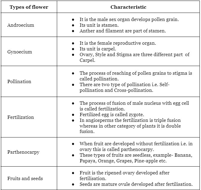 Plants Morphology | Famous Books for UPSC Exam (Summary & Tests)