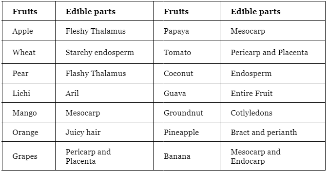 Plants Morphology | Famous Books for UPSC Exam (Summary & Tests)