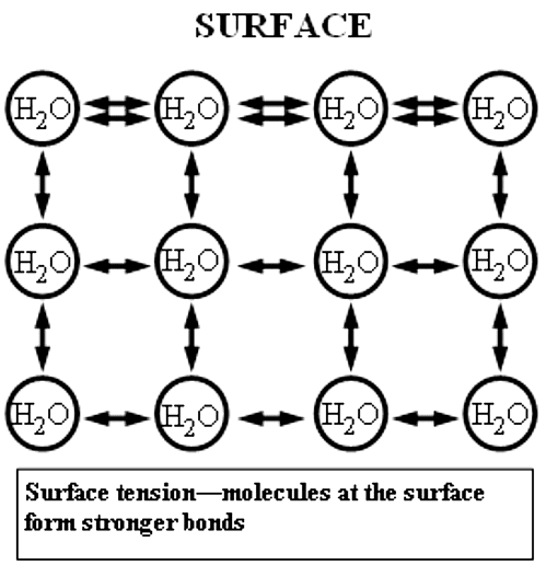 Surface Tension: Exploring the Definition, Units, and Examples of Surface Tension | Famous Books for UPSC Exam (Summary & Tests)