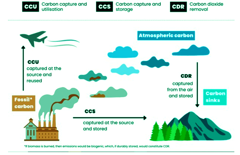 Environment and Ecology: December 2023 UPSC Current Affairs | Environment for UPSC CSE