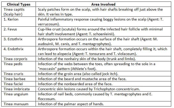 Mycology Chapter Notes | Microbiology - NEET PG