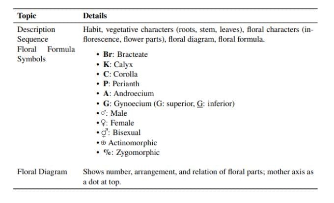 Cheat Sheet: Morphology of Flowering Plants | Biology Class 11 - NEET