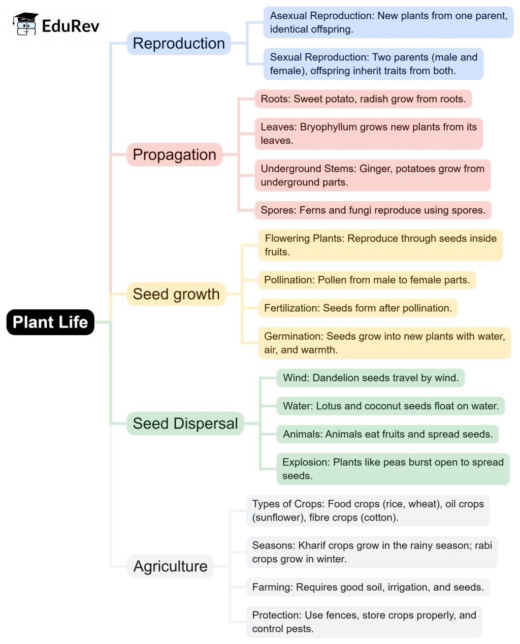 Mind Map: Plant Life | Science Class 5