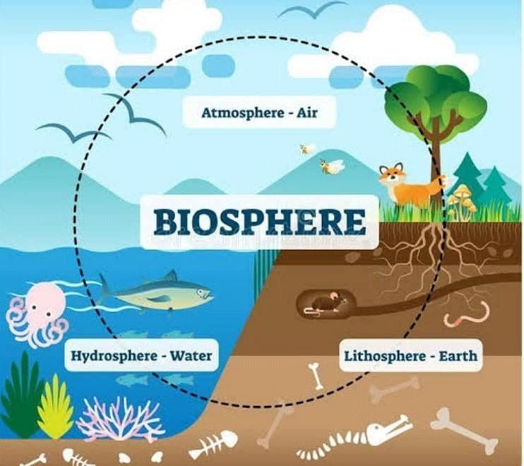 Class 7 Geography Chapter 1 Question Answers - Environment