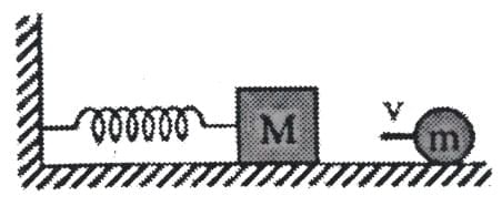 Collisions | Physics Class 11 - NEET