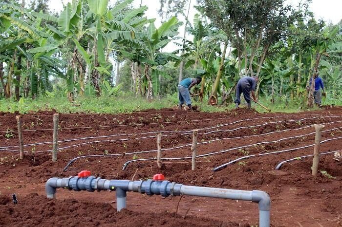 Revision Notes: Water Resources | Environmental Management for Grade 10