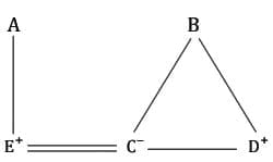 MCQs`: Blood Relations