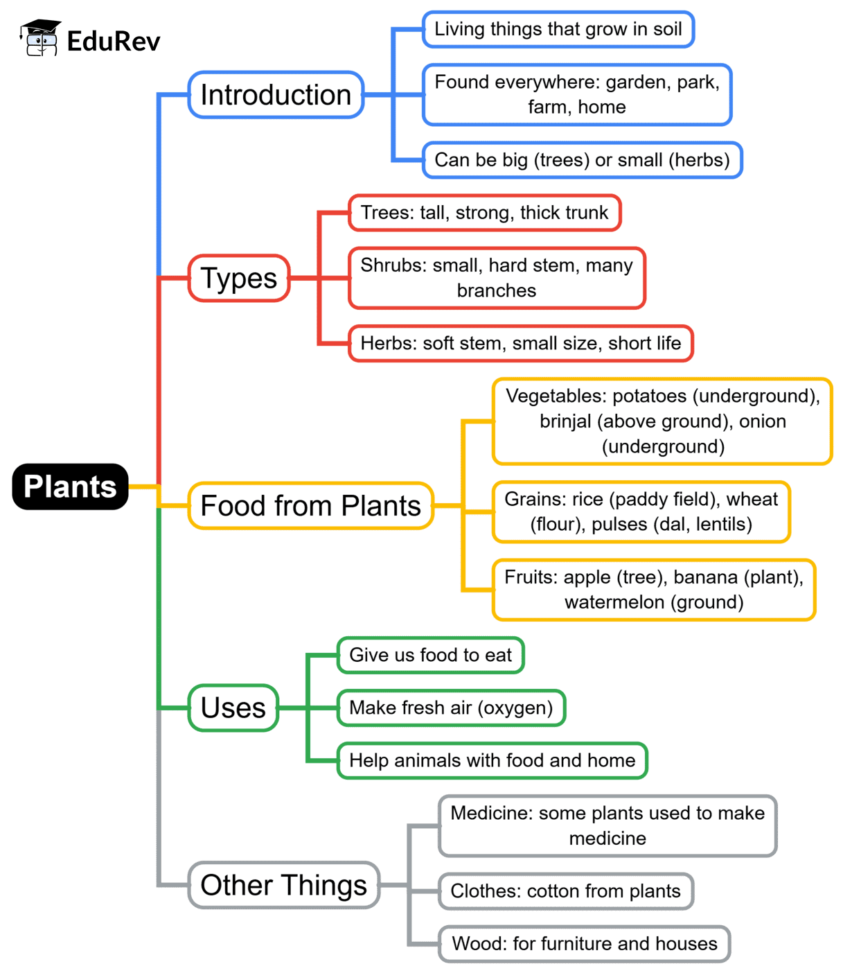 Mind Map: Plants | EVS for Class 2