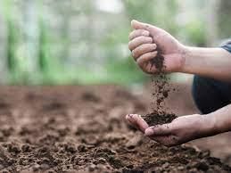 Soil Erosion And Conservation - 1 Class 5 Worksheet Science