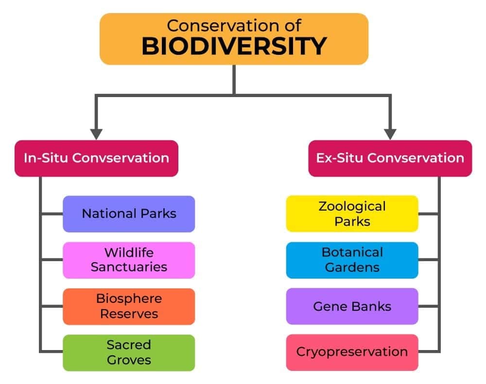 How Do We Conserve Biodiversity?