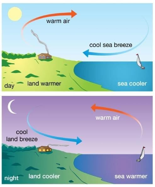 Very Short Answer Questions: Pressure, Winds, Storms, and Cyclones | Science Curiosity Class 8 -  New NCERT