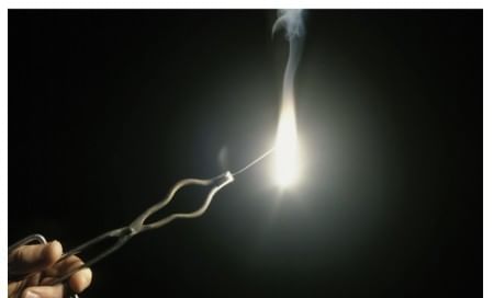 Previous Year Questions 2025