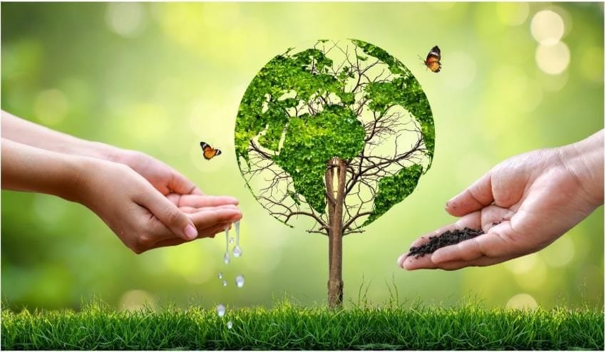 Save Trees, Save Life