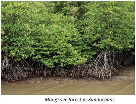 How Nature Works in Harmony Chapter Notes | Chapter Notes For Class 8
