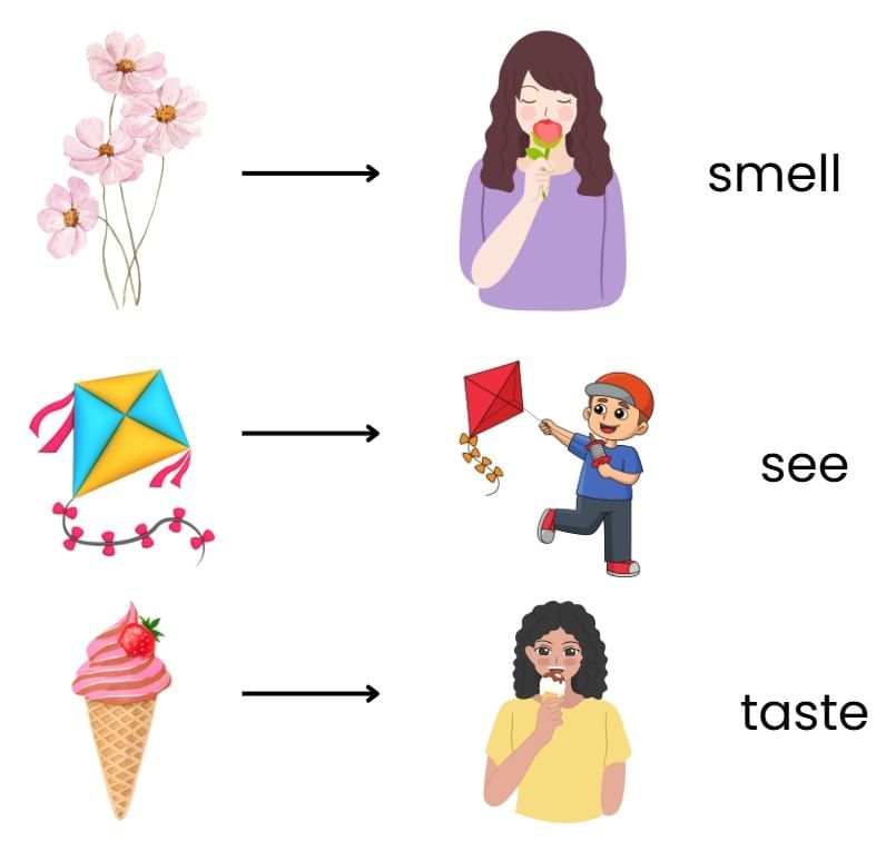 Sense Organs - 1 Class 1 Worksheet EVS