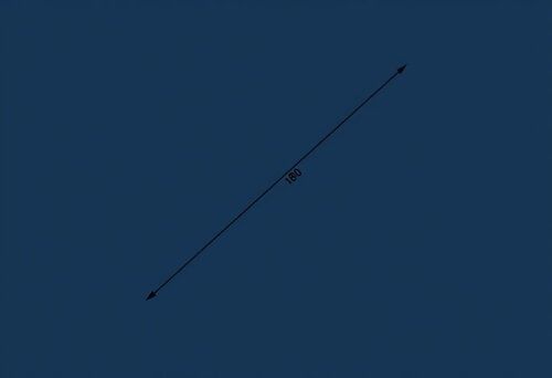 answer Image