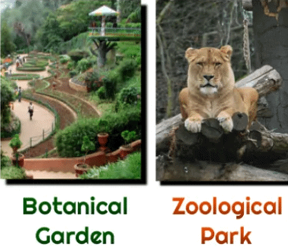 NCERT Exemplars: The Living World - 1 | Biology Class 11 - NEET