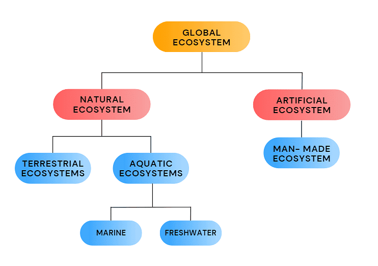 Ecosystem: Introduction & Types | Biology Class 12 - NEET