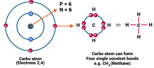 Introduction to Organic Chemistry | Chemistry Class 11 - NEET