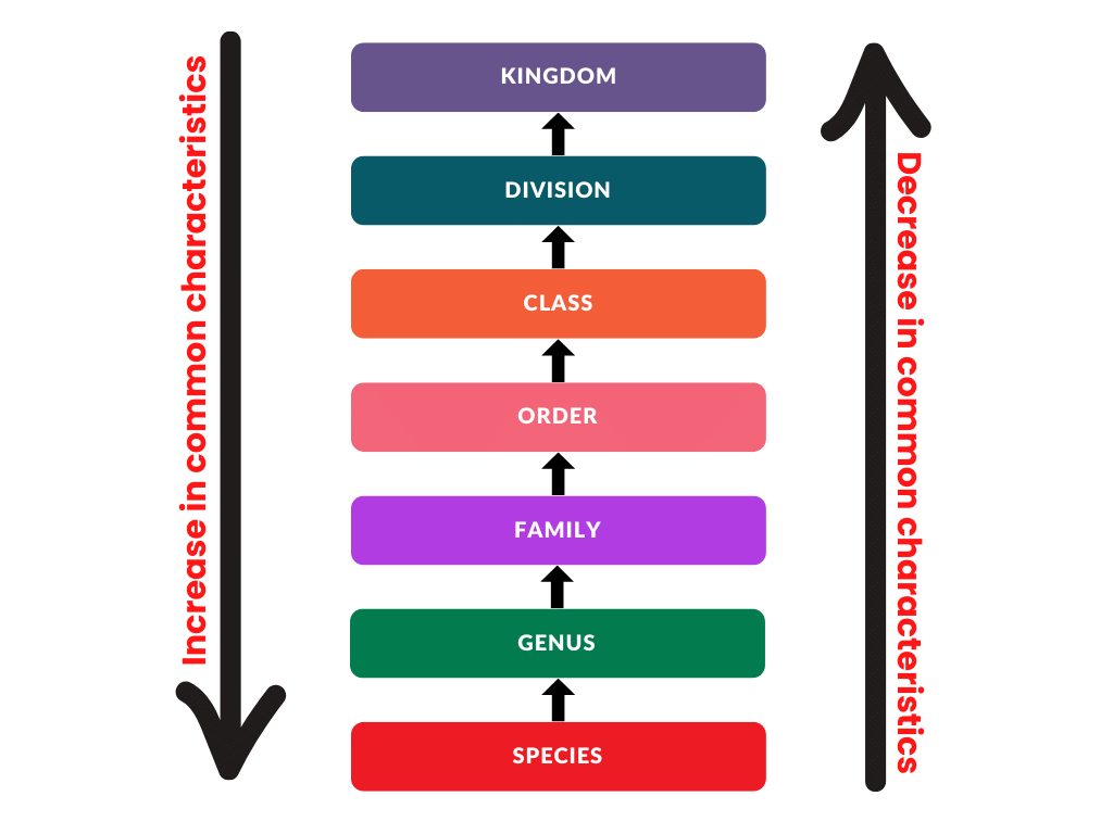 NCERT Exemplars: The Living World - 1 | Biology Class 11 - NEET