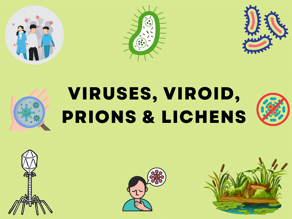 Viruses, Viroid, Prions & Lichens | Biology for JAMB