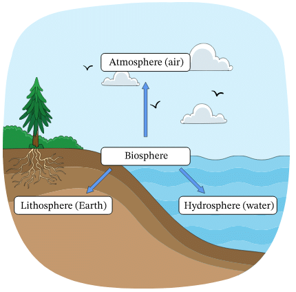 Class 6 Geography Chapter 5 Notes - Major Domains of the Earth