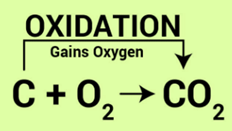 Class 10 Science Chapter 1 Practice Question Answers - Chemical Reactions and Equations