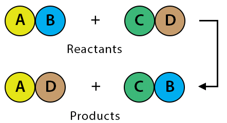 Class 10 Science Chapter 1 Practice Question Answers - Chemical Reactions and Equations
