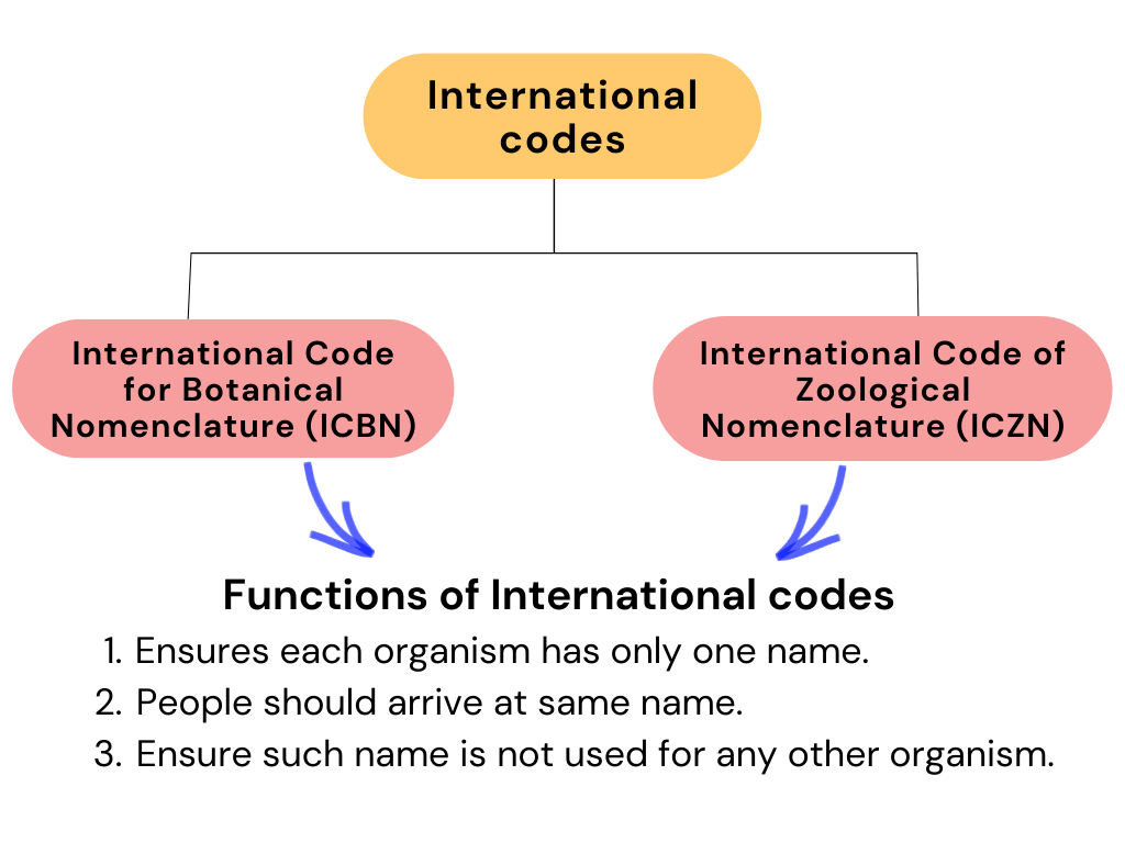 Taxonomy: Identification, Nomenclature & Classification | Biology Class 11 - NEET