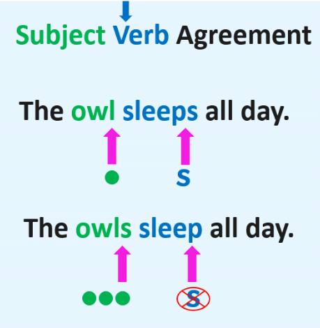 Subject Verb Agreement | General Aptitude for GATE - Mechanical Engineering