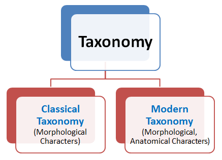 Taxonomy: Identification, Nomenclature & Classification | Biology Class 11 - NEET