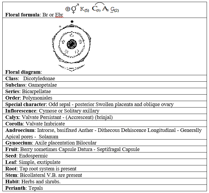 Family Description: Solanaceae, Fabaceae & Liliaceae | Biology for ACT