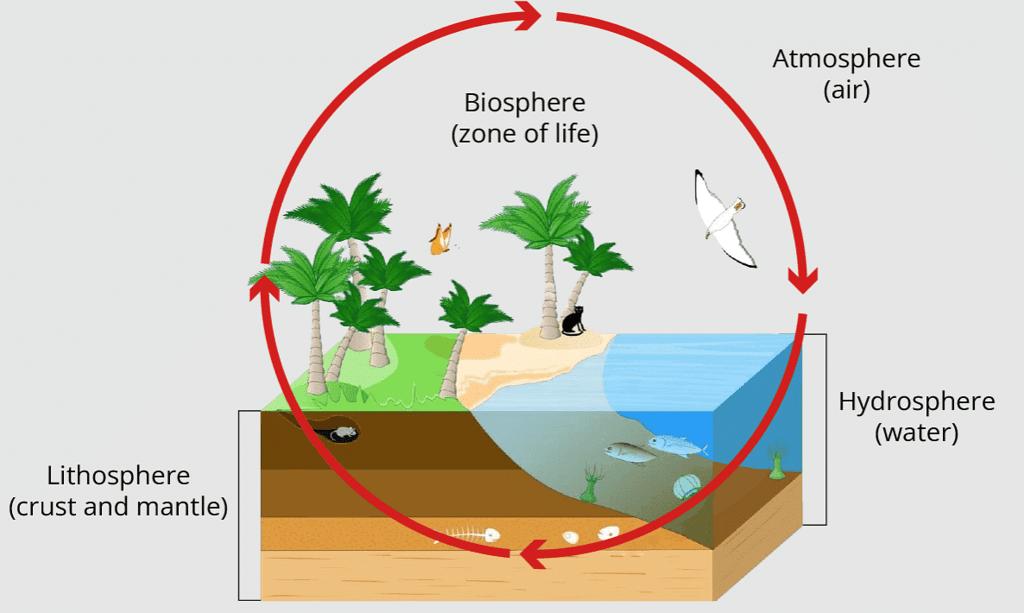 Global Ecosystem: Biosphere