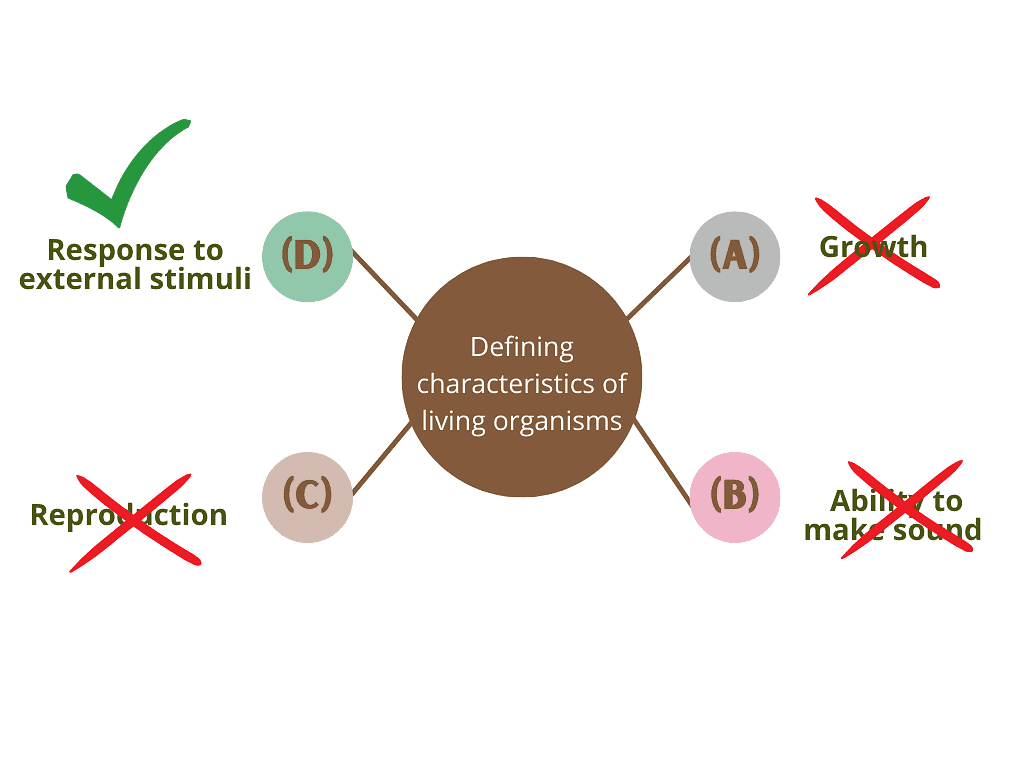 NCERT Exemplars: The Living World - 1 | Biology Class 11 - NEET