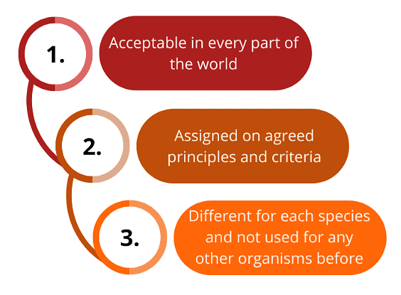 Taxonomy: Identification, Nomenclature & Classification | Biology Class 11 - NEET