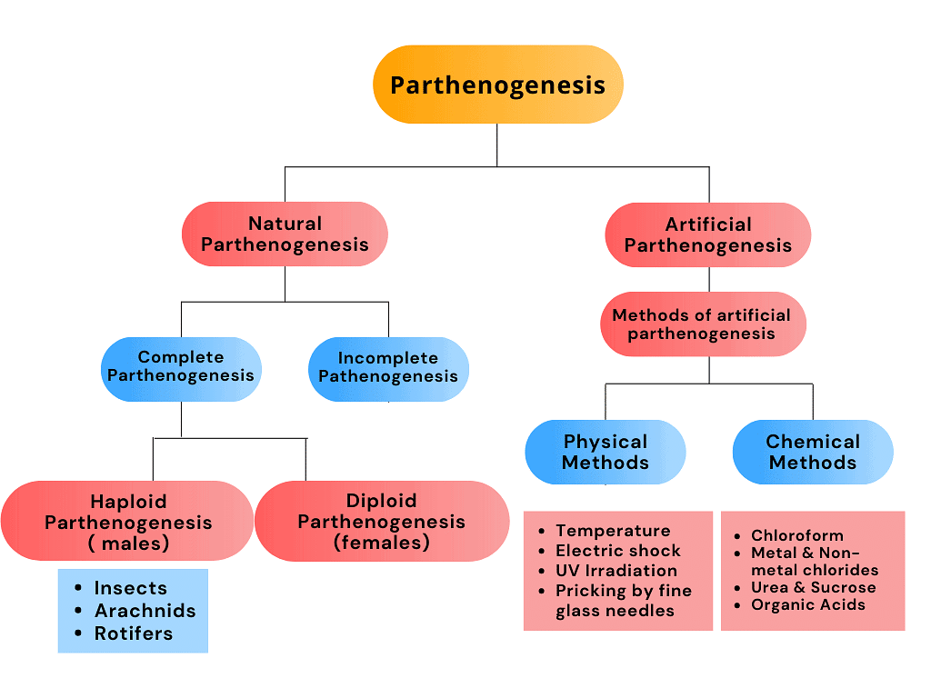 Parthenogenesis & Its Types | Biology for Grade 12