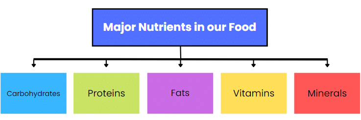 NCERT Solutions for Class 6 Science - Components of Food