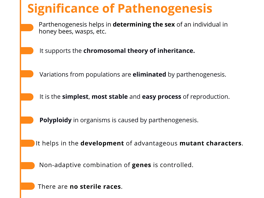 Parthenogenesis & Its Types | Biology for Grade 12