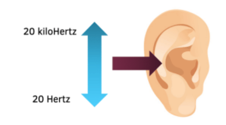 Sound Class 9 Notes Science Chapter 11