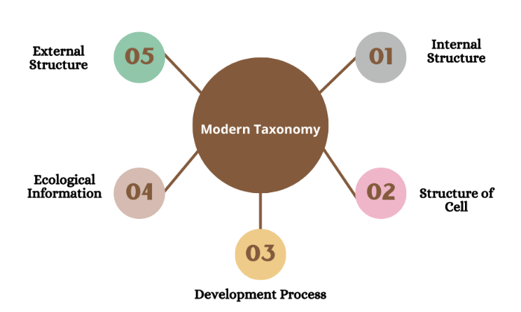 Taxonomy: Identification, Nomenclature & Classification | Biology Class 11 - NEET