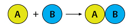 Class 10 Science Chapter 1 Practice Question Answers - Chemical Reactions and Equations