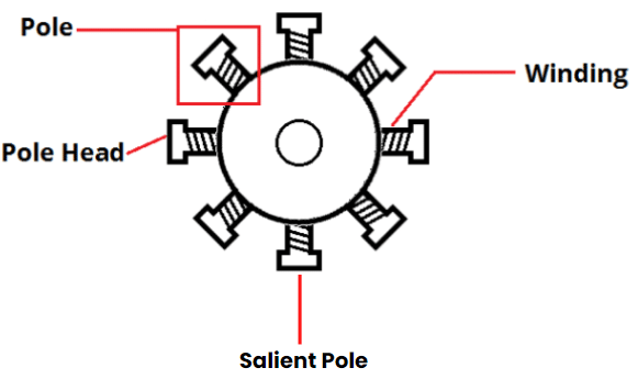 Salient Pole Rotor