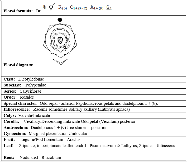 Family Description: Solanaceae, Fabaceae & Liliaceae | Biology for ACT